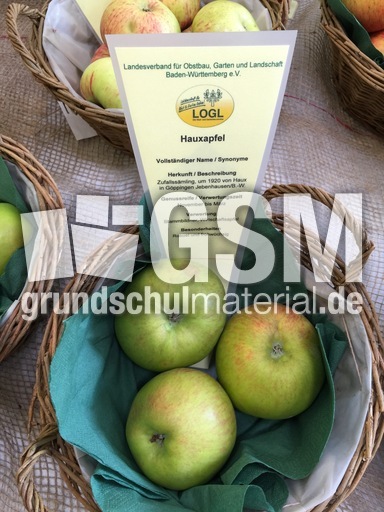 Hauxapfel.jpg